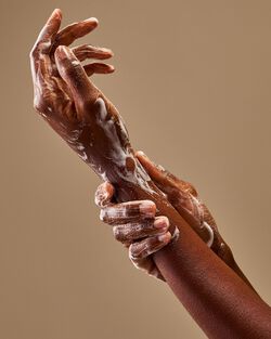 Kitchen Lemon Daily Moisturizing Hand Soap image number null