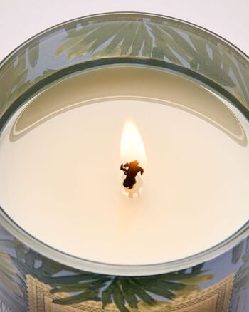 Warm Ocean Breeze Single Wick Candle Single Wick Candle