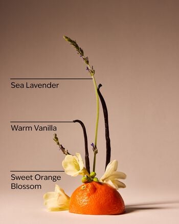 Sweet Orange Blossom Gentle & Clean Foaming Hand Soap Gentle & Clean Foaming Hand Soap