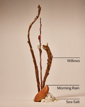 Rainfall Cleansing Gel Hand Soap Cleansing Gel Hand Soap