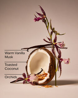 Tiki Beach Wallflowers Fragrance Refill