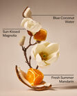 Endless Weekend Body Wash & Shower Gel image number null
