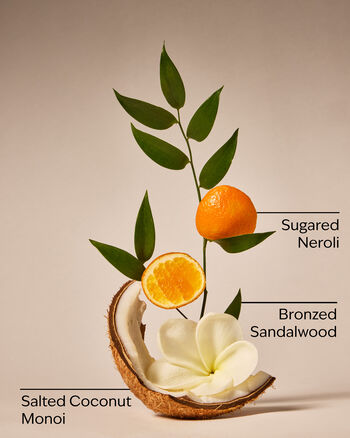 Coco Paradise Moisturizing Body Wash Moisturizing Body Wash