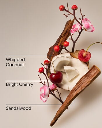 Tropical Cherry Wallflowers Fragrance Refill Wallflowers Fragrance Refill