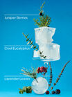 Frozen Lake Gentle & Clean Foaming Hand Soap image number null