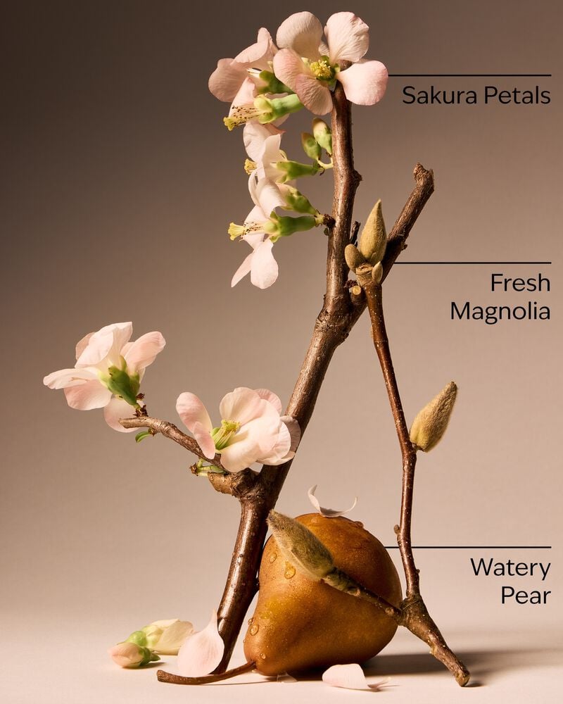 Forever Cherry Blossom Body Wash Body Wash