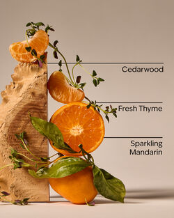 Kitchen Mandarin Gentle & Clean Foaming Hand Soap