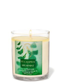 Eucalyptus Spearmint Single Wick Candle