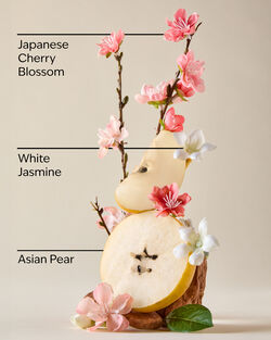 Japanese Cherry Blossom Body Lotion