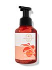 Orange Ginger Gentle Foaming Hand Soap image number null