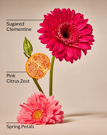 Pink Clementine Cleansing Gel Hand Soap Cleansing Gel Hand Soap