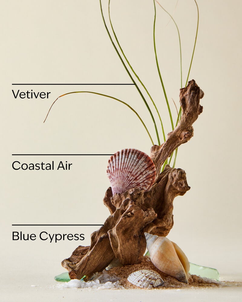 Ocean Mini Cologne Mini Cologne