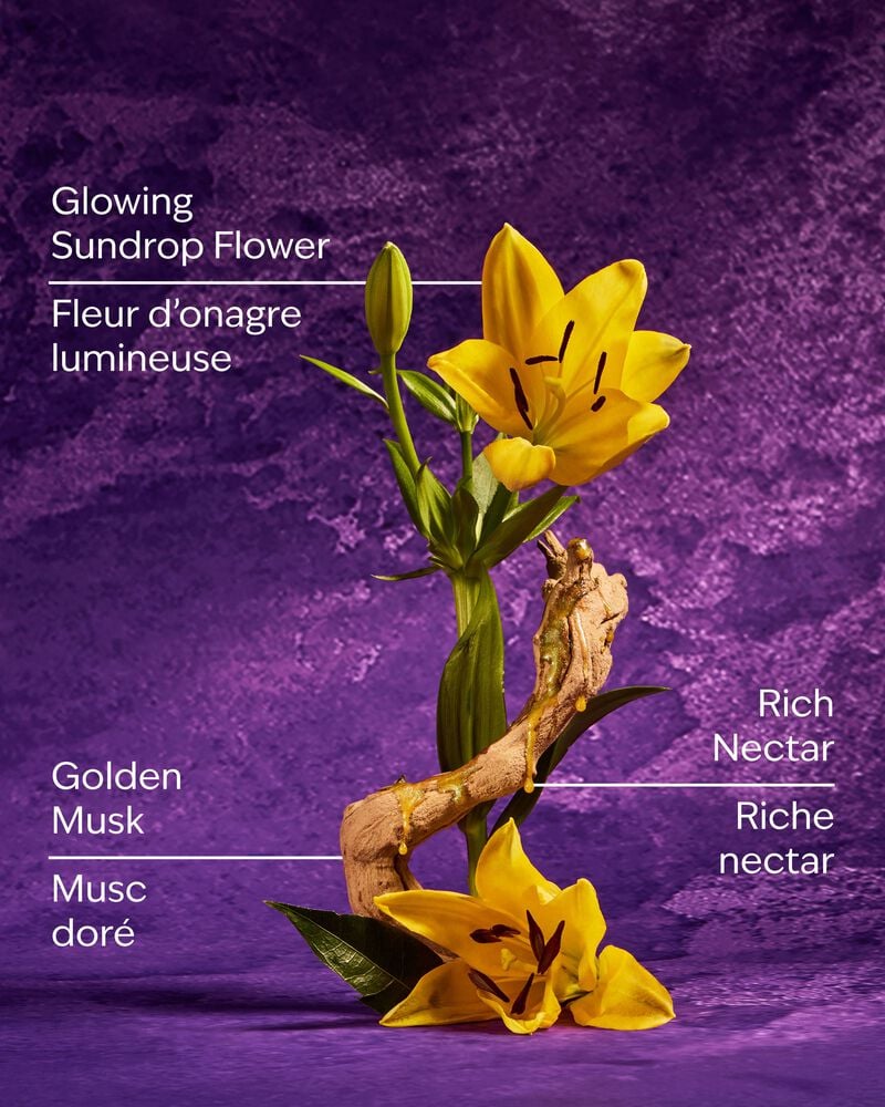 Rapunzel Wallflowers Fragrance Refill Wallflowers Fragrance Refill