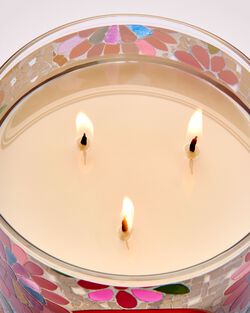 Warm Summer Evening 3-Wick Candle image number null
