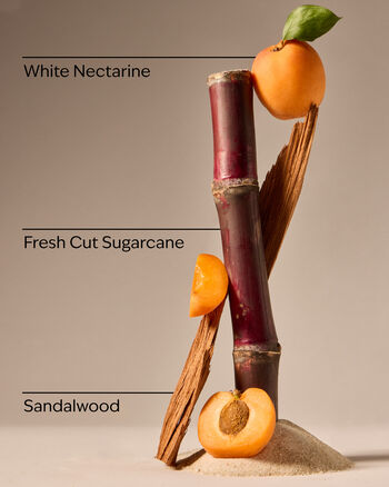 Fiji White Sands 3-Wick Candle 3-Wick Candle