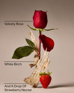 You're The One Body Wash