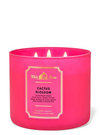Cactus Blossom 3-Wick Candle 3-Wick Candle