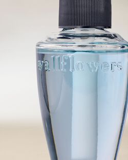 Sun-Drenched Linen Wallflowers Fragrance Refill image number null