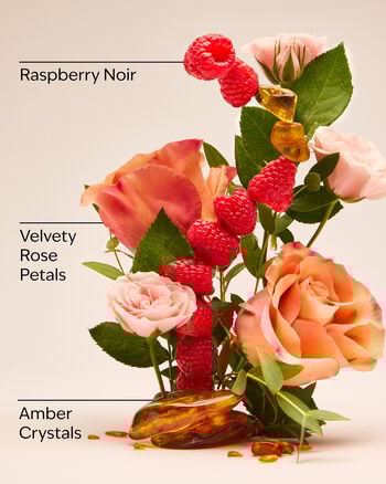 Into The Night 3-Wick Candle 3-Wick Candle