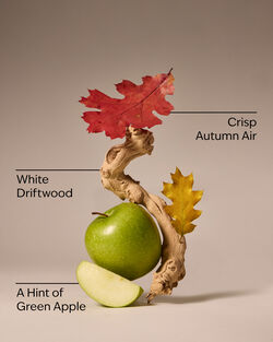 Lakeside Morning Cleansing Gel Hand Soap