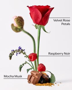 Into The Night Travel Size Fine Fragrance Mist image number null