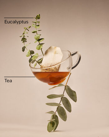 Eucalyptus Tea Moisturizing Body Wash Moisturizing Body Wash