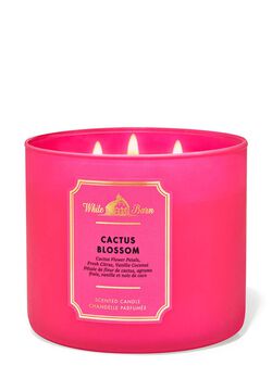 Cactus Blossom 3-Wick Candle Cactus Blossom 3-Wick Candle