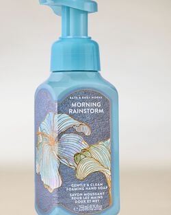 Morning Rainstorm Gentle & Clean Foaming Hand Soap image number null