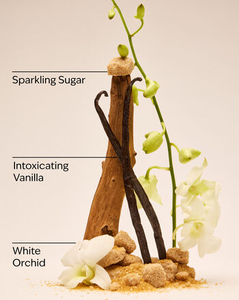 Warm Vanilla Sugar Daily Nourishing Body Lotion Daily Nourishing Body Lotion