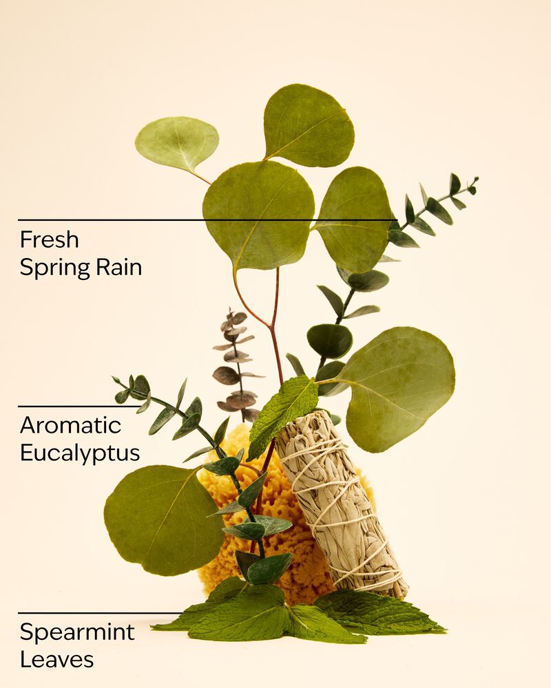 Eucalyptus Spearmint Bath Fizzy Bath Fizzy
