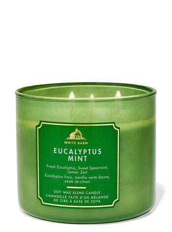 Eucalyptus Mint 3-Wick Candle 3-Wick Candle