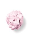 Winter Candy Apple Shapeable Soap image number null