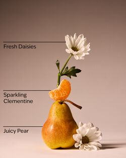 Gingham Fresh Body Lotion image number null