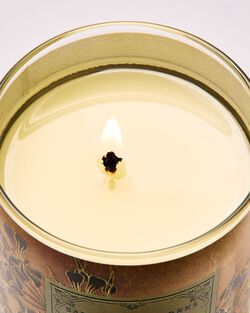Backyard Honeysuckle Single Wick Candle image number null
