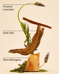 Mahogany Teakwood Wallflowers Fragrance Refill