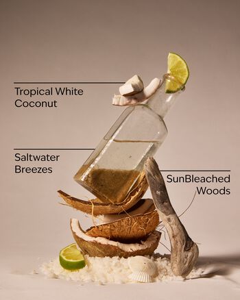 Waikiki Beach Coconut 3-Wick Candle 3-Wick Candle