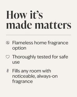 Dark Grey  Wallflowers Fragrance Plug