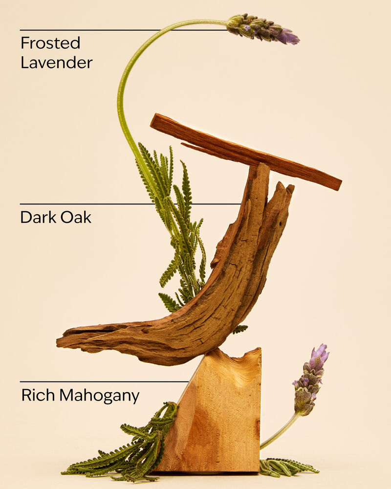 Mahogany Teakwood Antiperspirant Deodorant Antiperspirant Deodorant