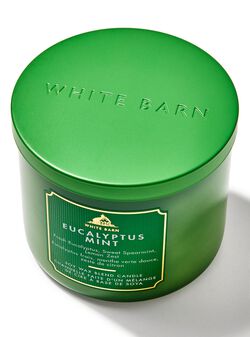 Eucalyptus Mint 3-Wick Candle Eucalyptus Mint 3-Wick Candle