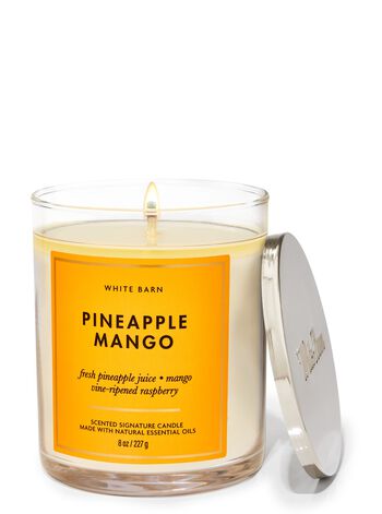 Pineapple Mango Signature Single Wick Candle Single Wick Candle