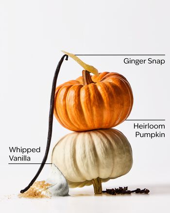 Sweet Cinnamon Pumpkin Bath Fizzy Bath Fizzy