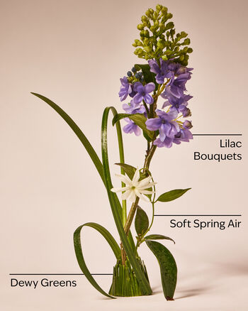 Fresh Cut Lilacs Body Lotion Body Lotion