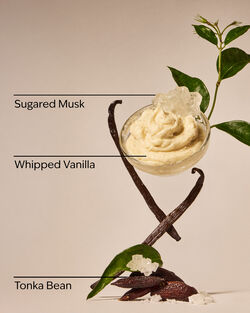 Wild Vanilla Travel Size Fine Fragrance Mist image number null