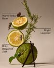 Lavender Bergamot 3-Wick Candle image number null