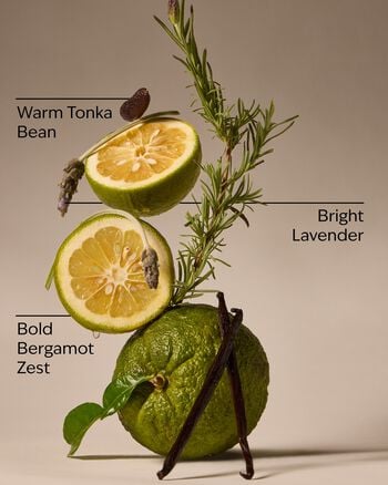 Lavender Bergamot 3-Wick Candle 3-Wick Candle