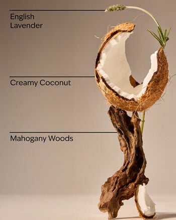 Mahogany Coconut Gentle & Clean Foaming Hand Soap Gentle & Clean Foaming Hand Soap