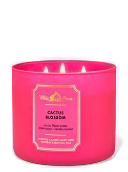 Cactus Blossom 3-Wick Candle Cactus Blossom 3-Wick Candle
