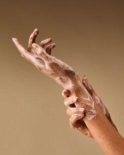 Pink Clementine Cleansing Gel Hand Soap image number null