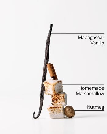 Vanilla Bean 3-Wick Candle 3-Wick Candle