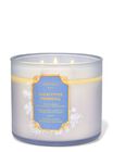 Eucalyptus Snowfall 3-Wick Candle image number null